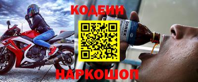 СК Бердск