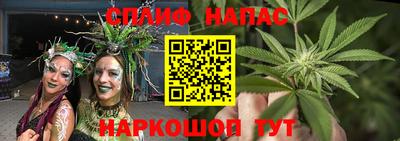 прущие крисы Брянск