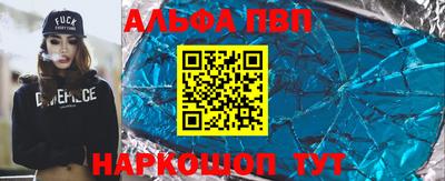 СК Бердск