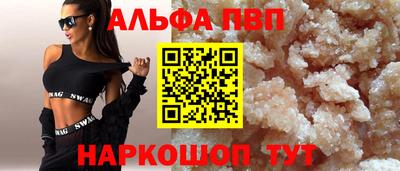 СК Бердск